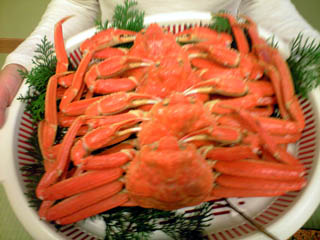f0116546_0355729.jpg