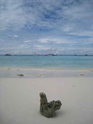 e0027447_1383149.jpg