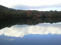e0045847_21383116.jpg
