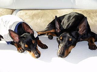 c0123149_0344113.jpg