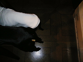 c0123149_035190.jpg
