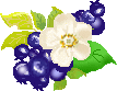 c0043751_3321777.gif
