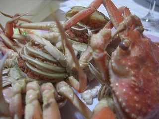 f0009451_116207.jpg
