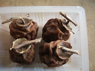 f0009451_14251996.jpg