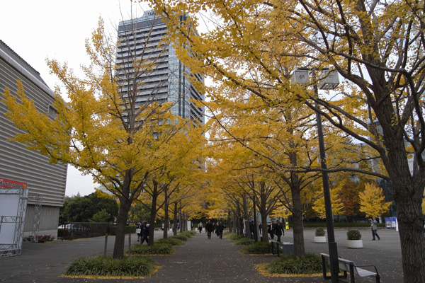 a0004752_21571651.jpg