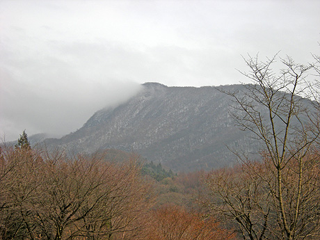 a0001354_18511385.jpg