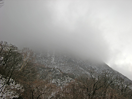 a0001354_18575169.jpg