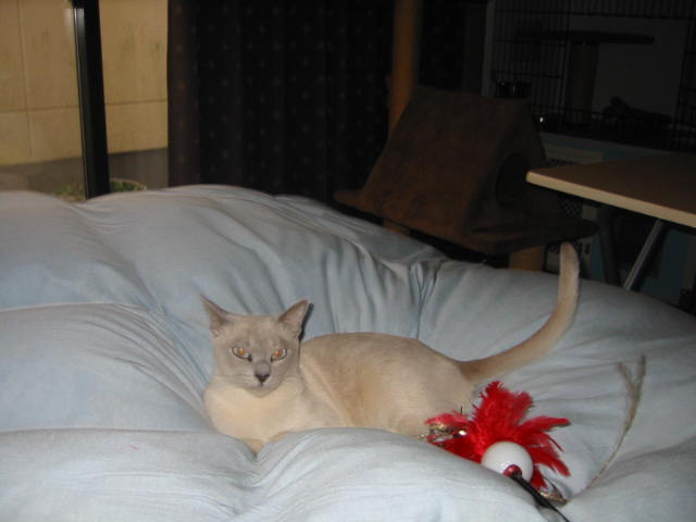 e0095155_1811492.jpg