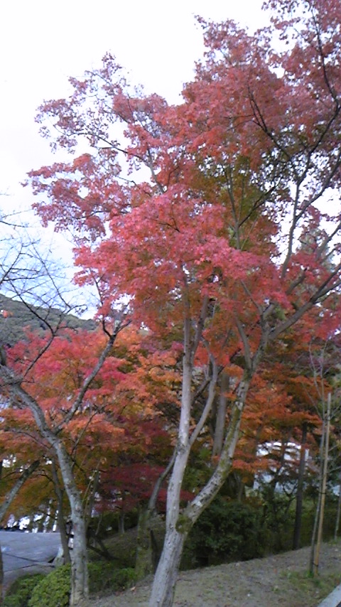 b0147756_1944896.jpg