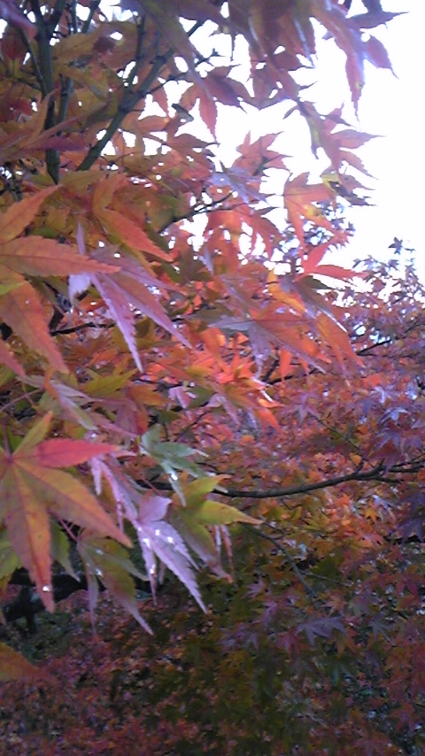 b0147756_1945978.jpg