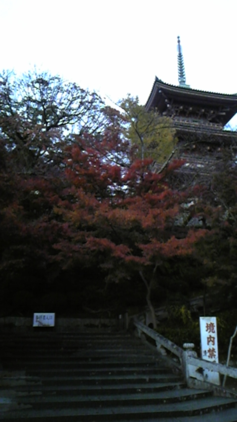 b0147756_1954655.jpg