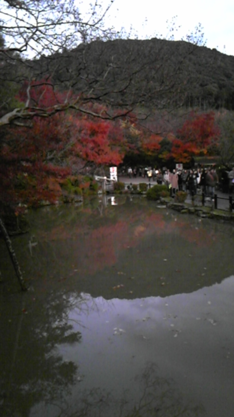 b0147756_1963982.jpg