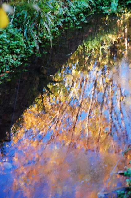 f0176458_1035539.jpg