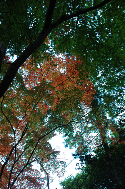 f0176458_10371881.jpg