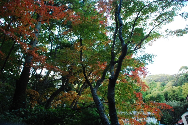 f0176458_10401774.jpg