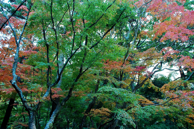 f0176458_10411216.jpg