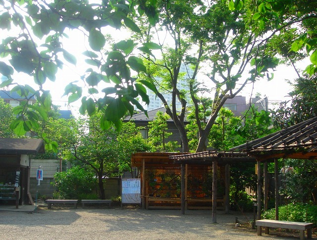 c0119160_21525737.jpg