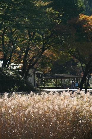 b0138661_18521422.jpg