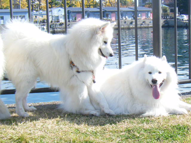 e0129661_013352.jpg