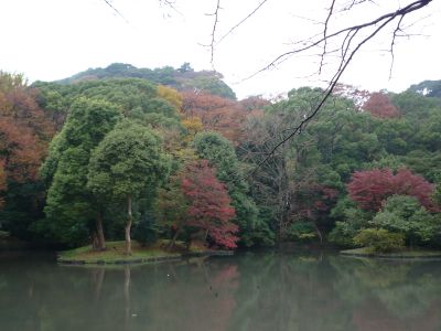 b0141664_23134259.jpg