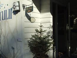 f0177165_6382236.jpg