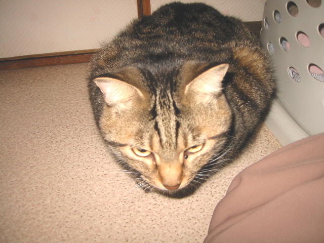 e0031572_6125627.jpg