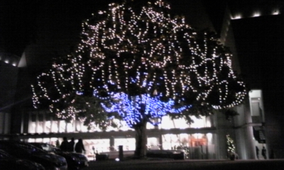 c0061774_064686.jpg