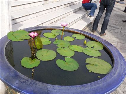 f0001378_22234100.jpg
