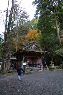 d0045179_2220355.jpg