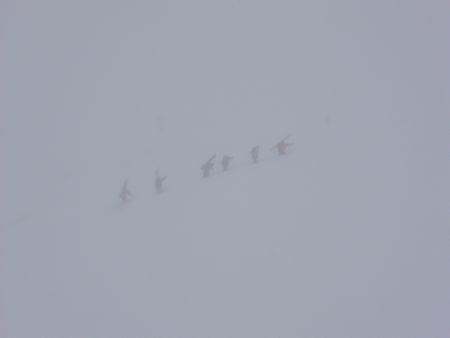 d0079579_15445264.jpg