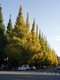 f0085881_10265427.jpg