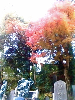c0076383_228391.jpg