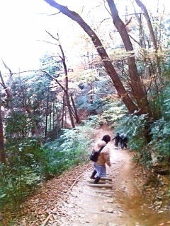 c0076383_2284345.jpg