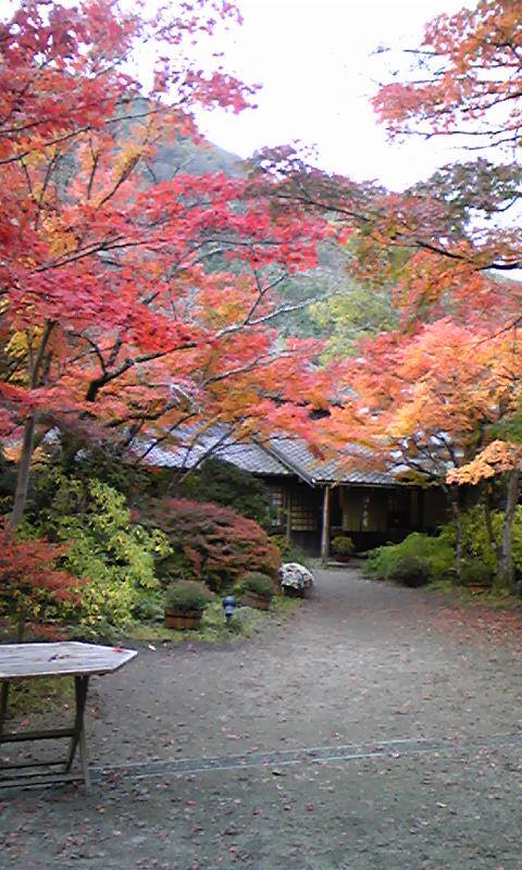 e0081584_21152739.jpg