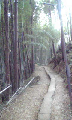 e0067885_21263639.jpg