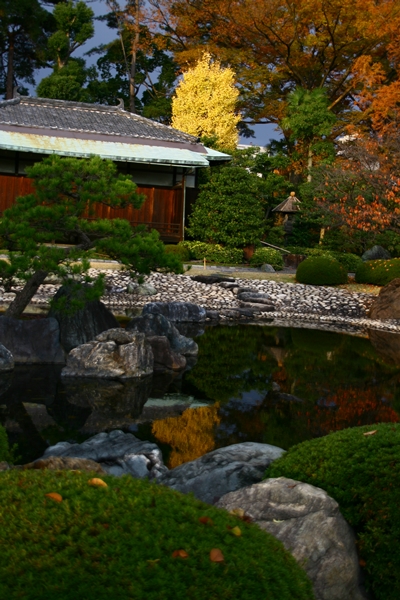 a0082787_22315384.jpg