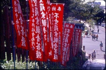 c0160387_814849.jpg