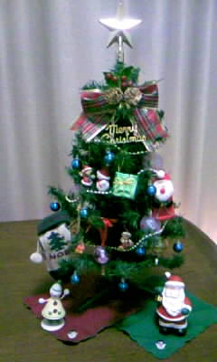 a0105688_1282227.jpg