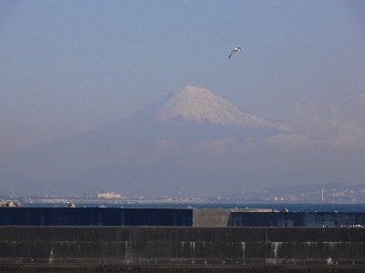 f0103688_14403818.jpg
