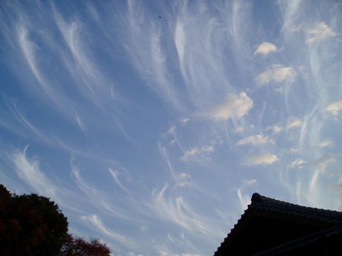 e0100589_20363379.jpg