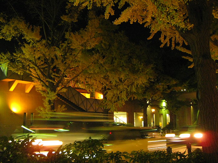 f0164989_23381091.jpg