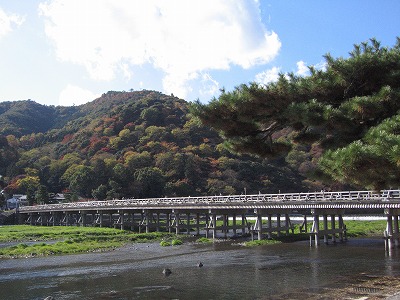 c0087094_16191645.jpg
