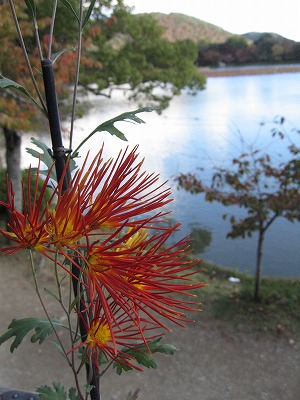 c0087094_1625524.jpg