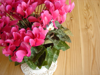 c0161594_2181541.jpg