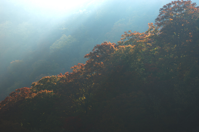 c0134295_23343347.jpg