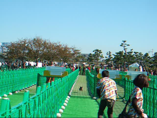 c0044199_21301025.jpg