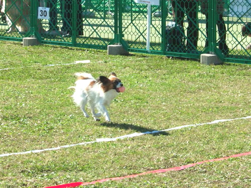 c0044199_21553789.jpg