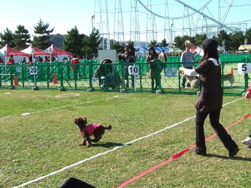 c0044199_2173976.jpg