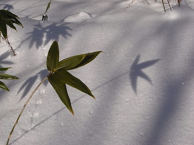 f0157901_1949122.jpg