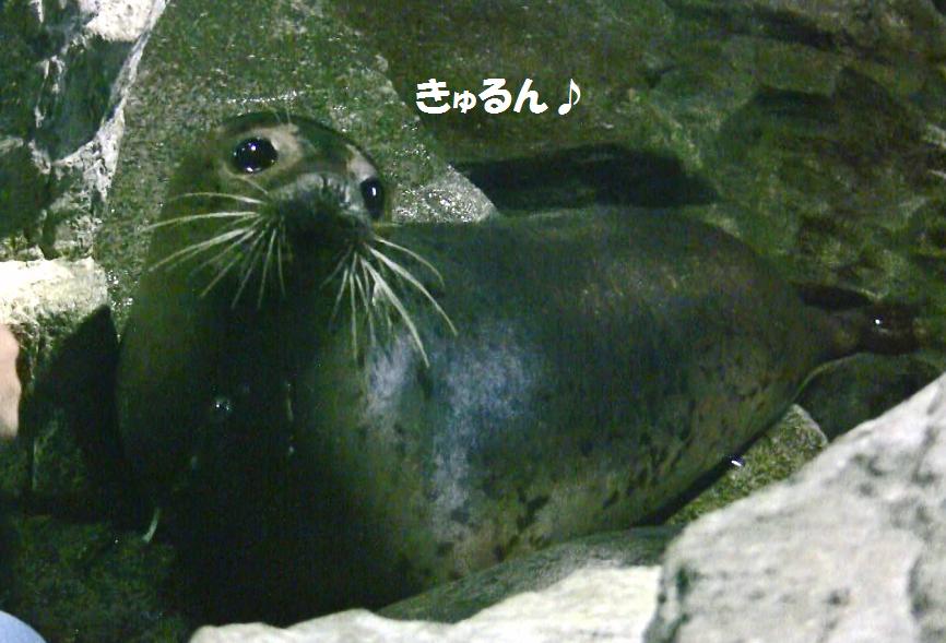 c0155902_22273768.jpg